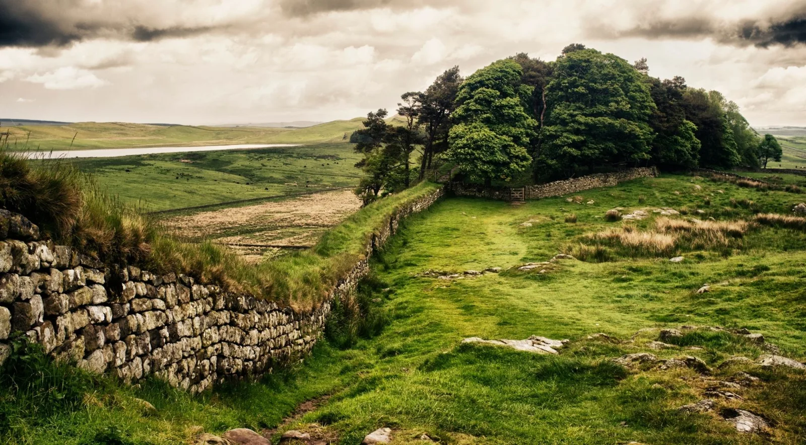 Hadrian's Wall running along a ridge towards a windbreak of trees, with moorland and a lough beyond