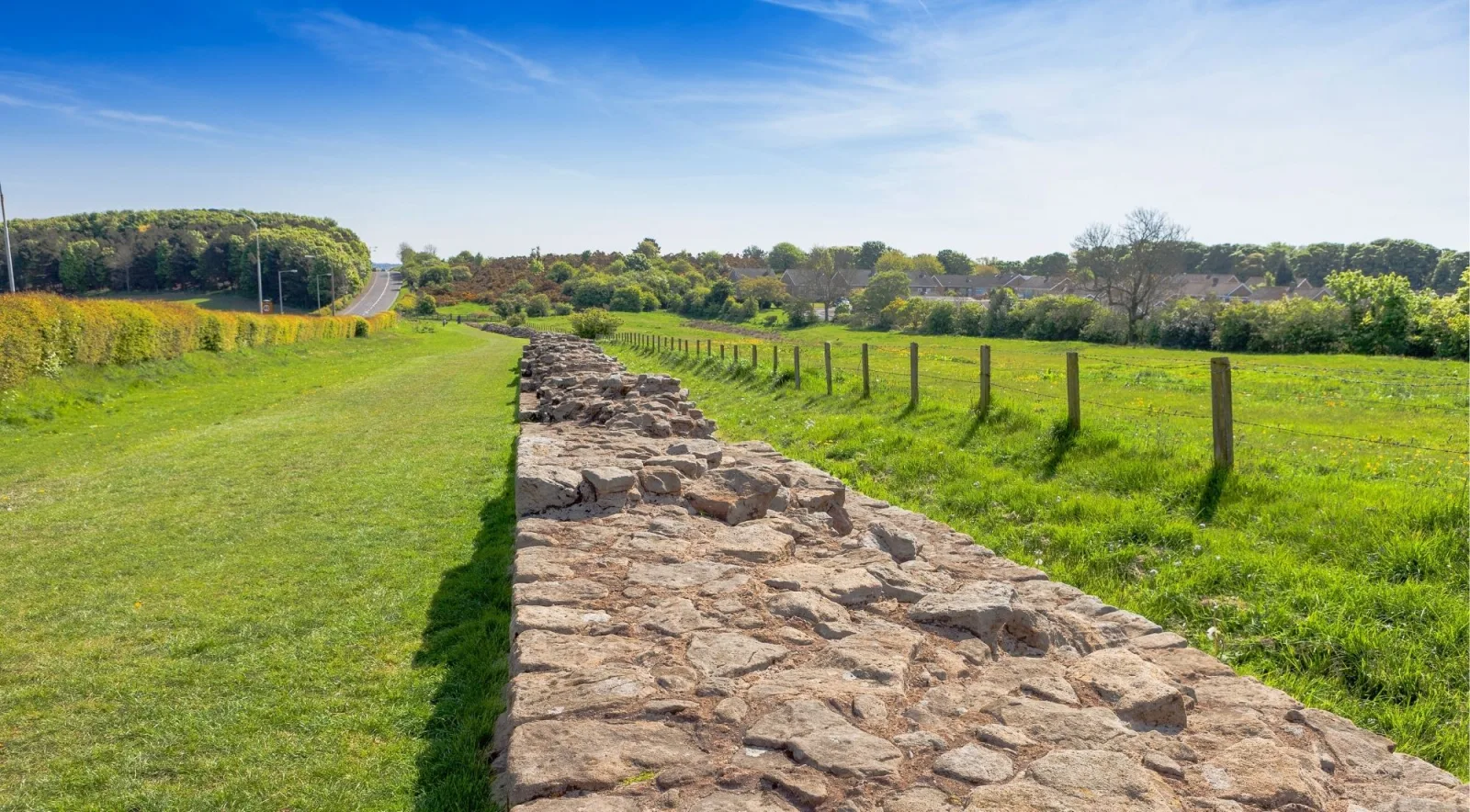 A broad course of Hadrian's Wall running through Northumberland farmland under a clear sky