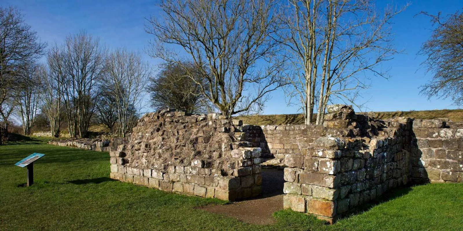 Ruined Roman stonework among bare trees at Carvoran, site of the Roman Army Museum