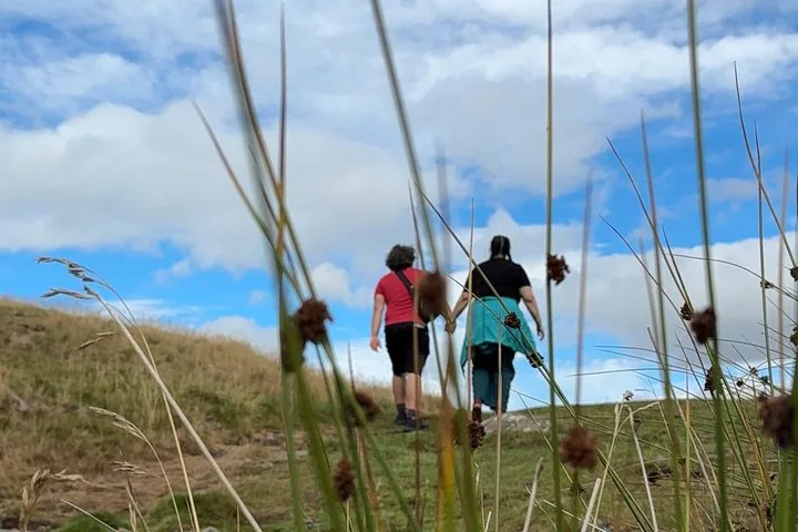 Walkers on the ridge path beside Hadrian's Wall seen through moorland grasses